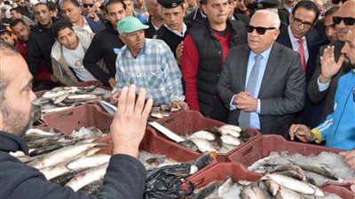 إغلاق أسواق الأسماك العشوائية ببورسعيد وتجميعها بالسوق الجديد