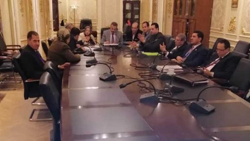 صحة النواب: تصريحات