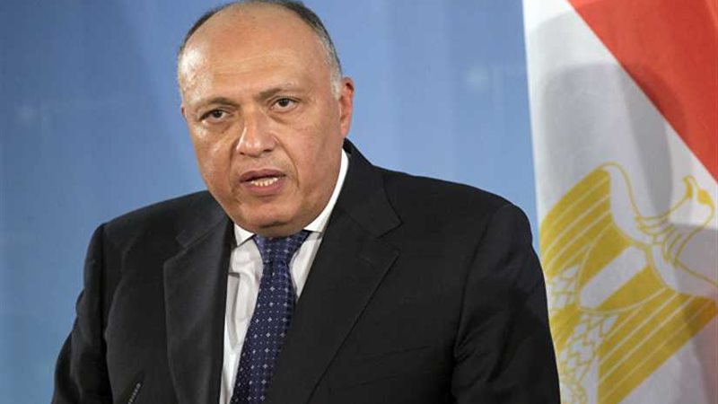 شكري يشارك في اجتماعات