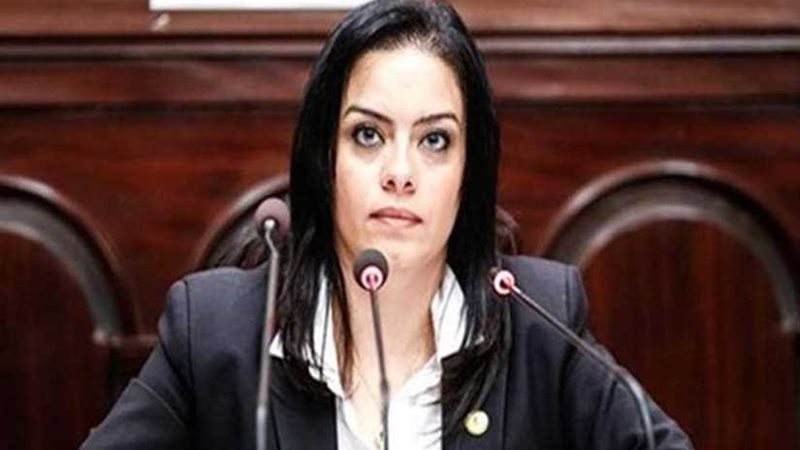 الخطة والموازنة بالبرلمان