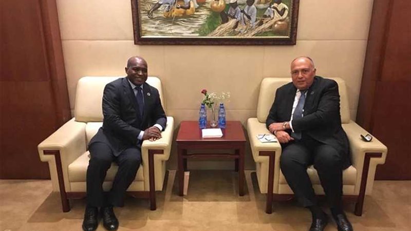 شكري يلتقي وزير خارجية