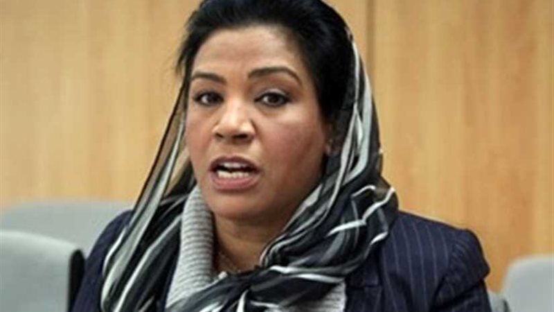 النائبة الناصرية