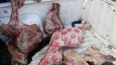 نائب وزير الزراعة: تحرير 237 محضرا في حملات التفتيش على اللحوم خلال أسبوعين