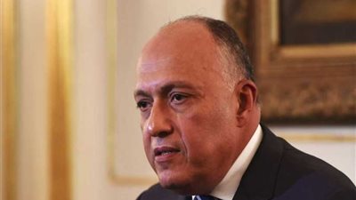 وزير الخارجية: مصر تولي أهمية كبيرة للعمل الأفريقي المشترك