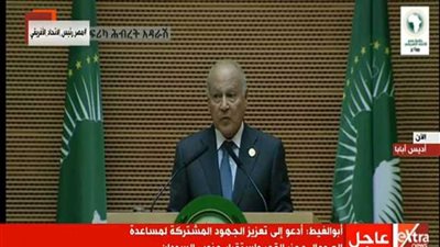 أبوالغيط: أثق أن الرئيس السيسي سيضع كل قدرات مصر لخدمة إفريقيا