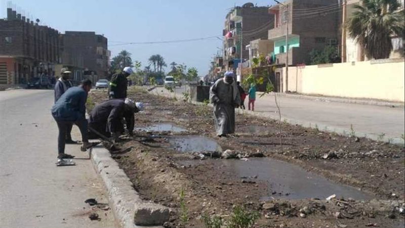 بدء أعمال تشجير منطقة