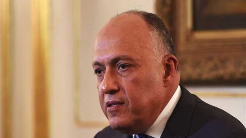 وزير الخارجية: مصر