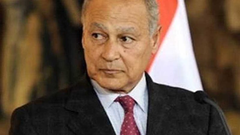 أبو الغيط يزور بيروت