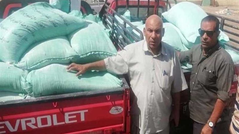 تموين الإسكندرية