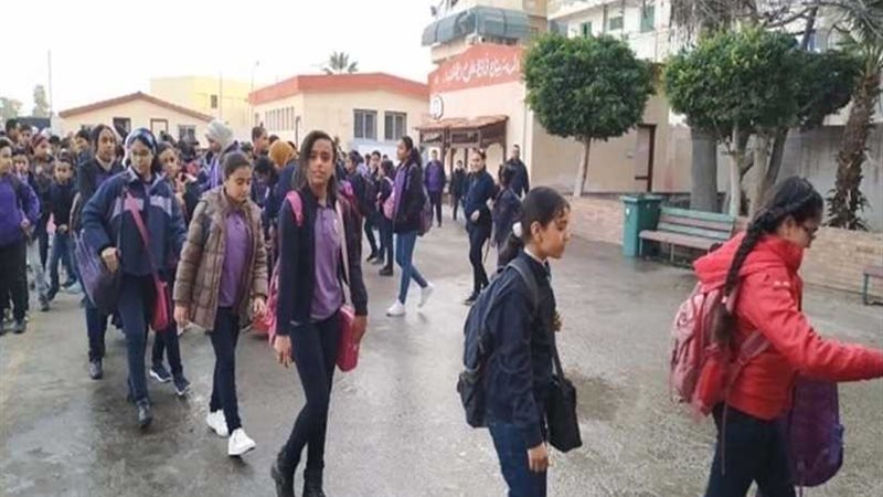 انتظام الدراسة فى