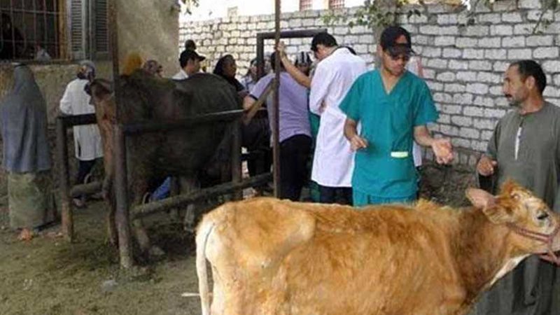 تحصين وترقيم 63 ألف