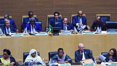 الحلول المصرية المقترحة لمعالجة جذرية للإرهاب وضمان نجاح التنمية في إفريقيا «6-6»