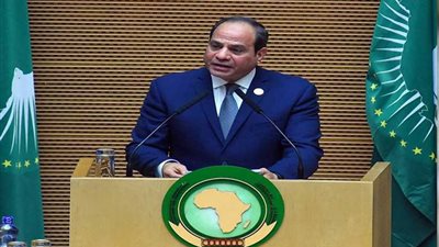 الرئيس السيسي: اجتماع تنسيقي على مستوى القمة بالنيجر