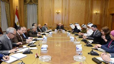 مصر والإمارات تتفقان على تشكيل لجنة فنية لدراسة إنشاء مصنع للتخلص من النفايات الطبية