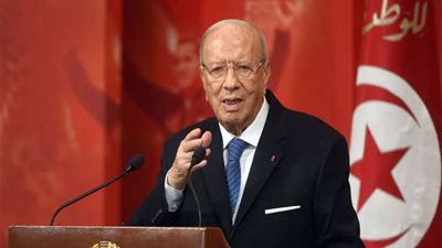 الرئيس التونسي: السيسي قادر على القيام بعمل كبير تجاه القارة الأفريقية