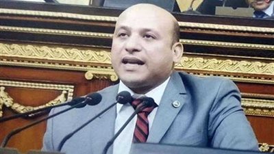 برلماني: السيسي قادر على جعل أفريقيا منطقة خالية من الحروب والصراعات