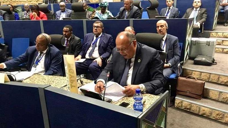 شكري يُشارك في  لجنة