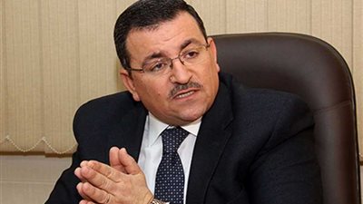 هيكل يطالب بالحفاظ على مادتي الدستور الخاصتين بهيئتي 