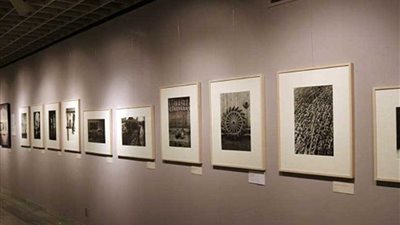 مدير مؤسسة اليابان يفتتح 