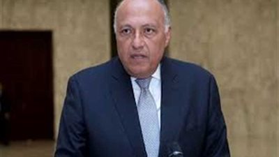 شكري: مصر تواصل جهودها الإقليمية والدولية في مجال حفظ وبناء السلام