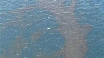 مياه المنيا تعلن إجراءات احترازية لمواجهة بقعة زيت قادمة من أسيوط