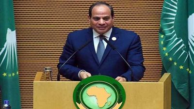 الانفجار السكاني ينسف جهود التنمية في إفريقيا.. ومصر تعمل على توطين الاستثمارات بالقارة