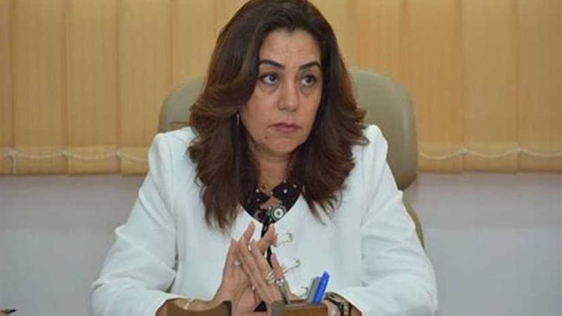 محافظ دمياط: مجلس