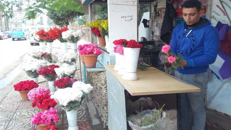 وردة الفالنتين بـ