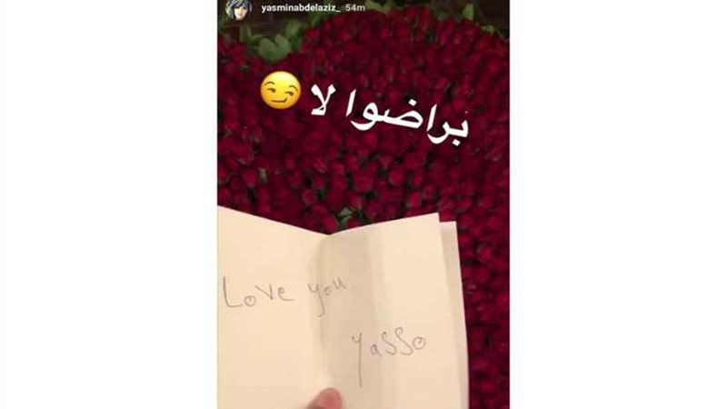 الحرب تشتعل بين ياسمين