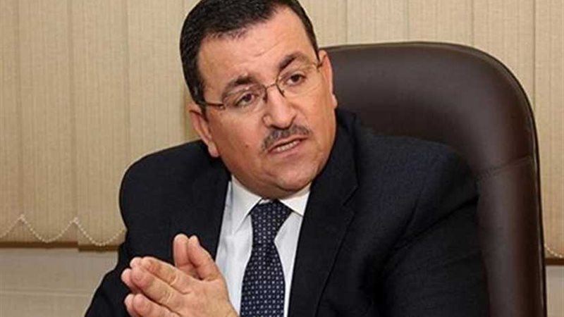 هيكل يستعرض مع السفير