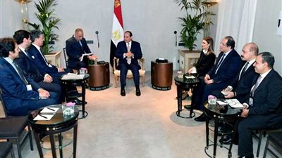 الرئيس السيسي يلتقي رئيس شركة 