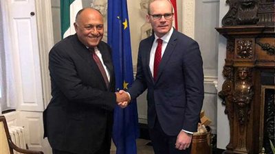 مباحثات موسعة بين شكري ونائب رئيس الوزراء ووزير الخارجية والتجارة الأيرلندي في دبلن