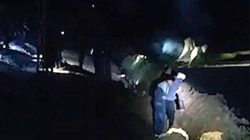 الأفيال ترفض ترك