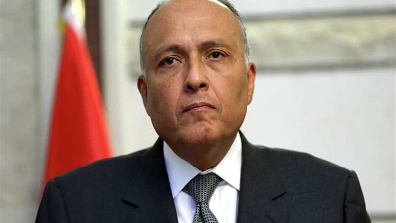 شكري يبدأ غداً زيارة