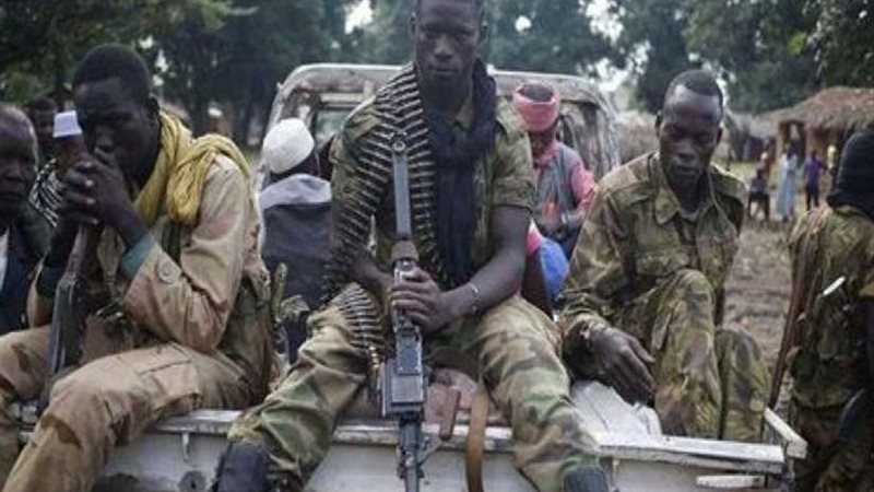 تحرير 80 رهينة شمال