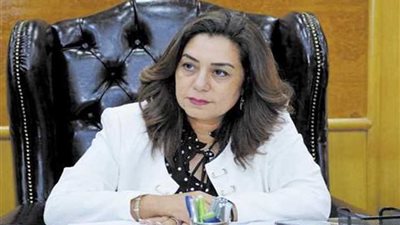 محافظ دمياط و