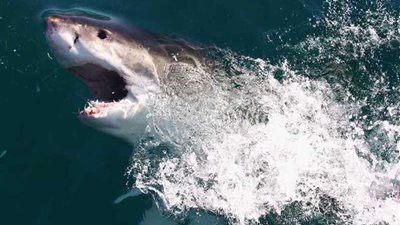 علاج أمراض مستعصية قد يكمن في 