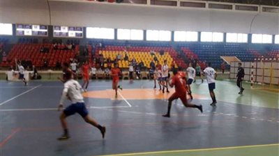 المنتخب المصري لكرة اليد يحجز مقعدا في نصف نهائي بطولة 