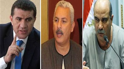 قيادات نقابية: التعديلات تعيد نسبة العمال والفلاحين وهذه ضمانة تجعلهم ممثلين لقطاع عريض