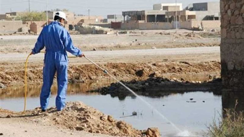 زراعة المنيا تبدأ