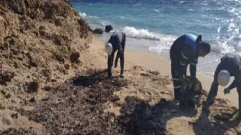 تشكيل لجنة للقضاء