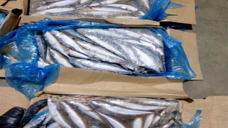 بالصور.. ضبط 55 طن