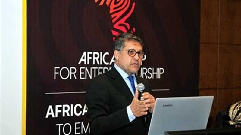 تروس مصر: تفاصيل