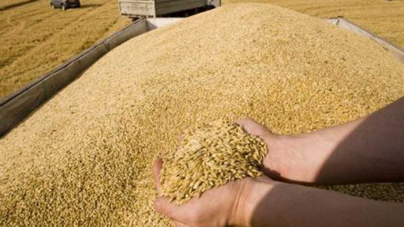 السلع التموينية تتعاقد