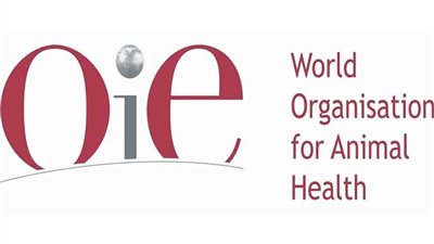 تونس تنظم المؤتمر الثالث والعشرين 