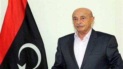 البرلمان الليبي يستنكر تصريحات المبعوث التركي إلى بلاده