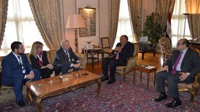 شكري يبحث مع 