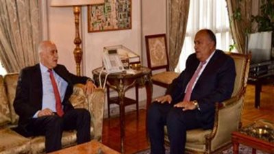 شكري يؤكد التزام مصر الكامل بدعم خيارات الشعب الفلسطيني