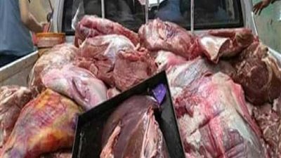 ضبط 15 طن لحوم وأسماك ودواجن فاسدة