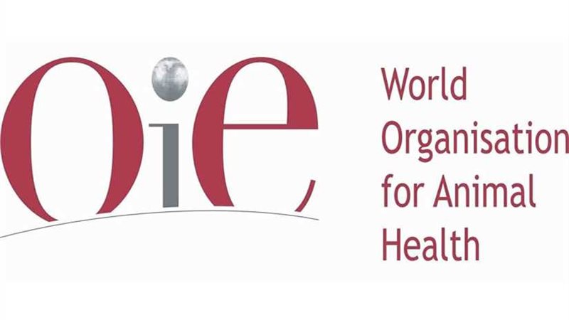 تونس تنظم المؤتمر